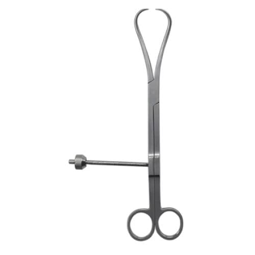 Two pointed clamp