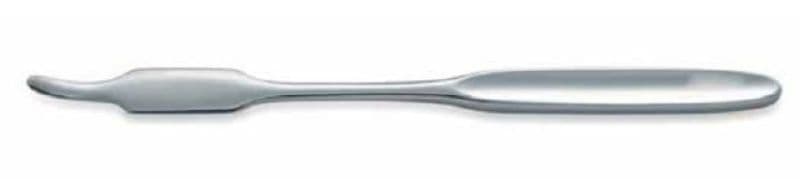 Fagge bone